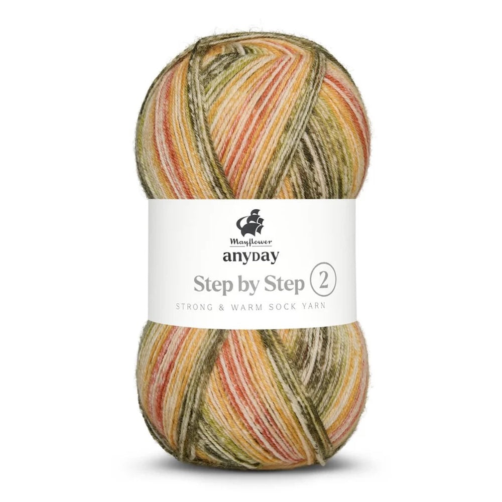 Anyday Step by Step 2 | traumschönes Sockengarn