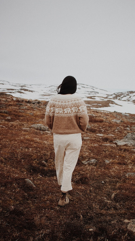 Saskie und Co Narnia Jumper mit Lettlopi von Lopi Island 7