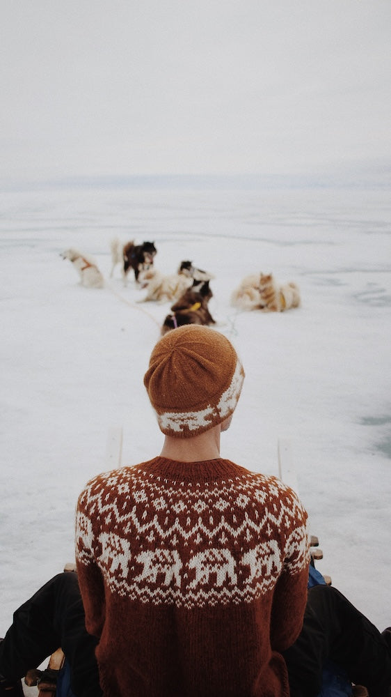 Saskie und Co Narnia Jumper mit Lettlopi von Lopi Island 8