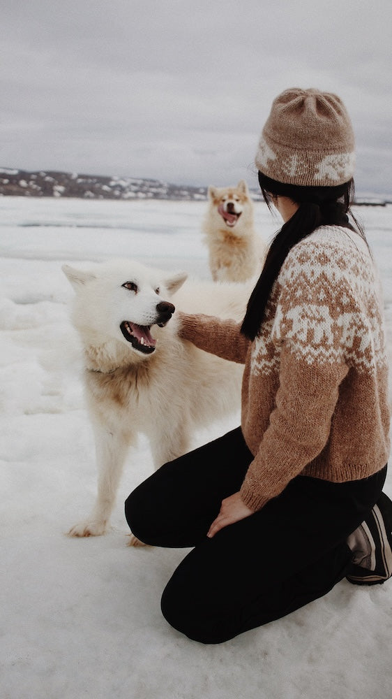 Saskie und Co Narnia Jumper mit Lettlopi von Lopi Island 9