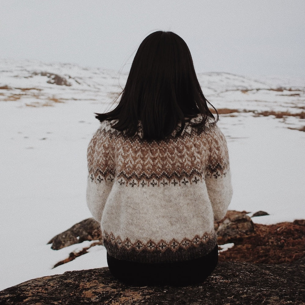 Saskie und Co Winterwoods mit Plötulopi von Lopi Island 1