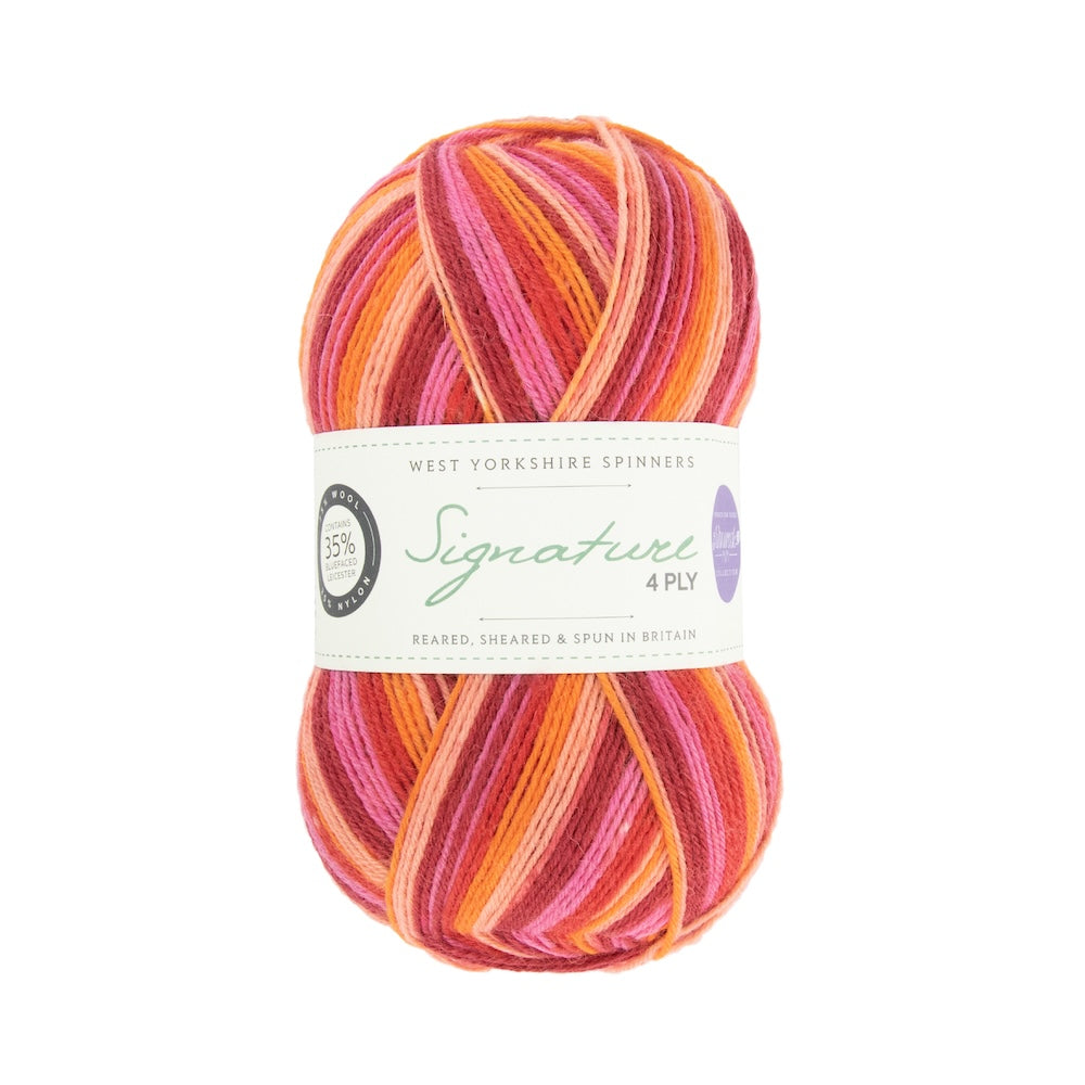 Signature 4-ply Winwick Mum | selbststreifendes Sockengarn