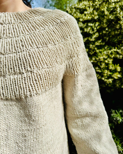Ankers pullover | Summer Edition med Big Bio Balance