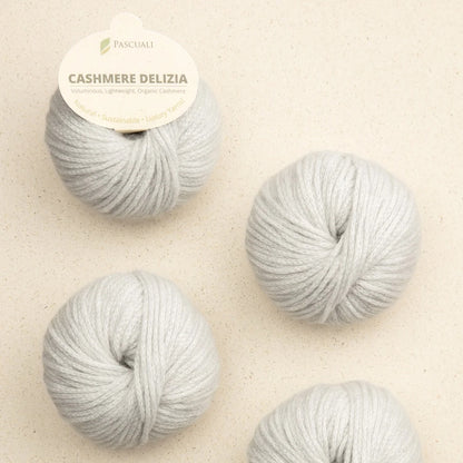Pascuali Cashmere Delizia Farbe 06