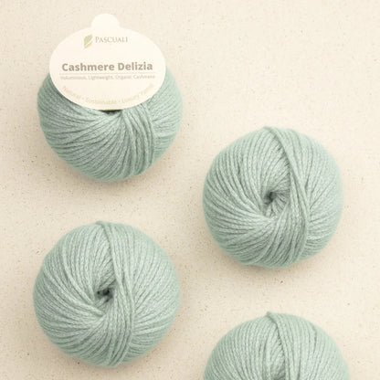 Pascuali Cashmere Delizia Farbe 50