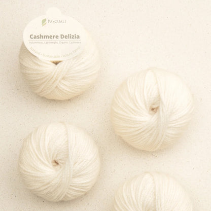Pascuali Cashmere Delizia Farbe 54