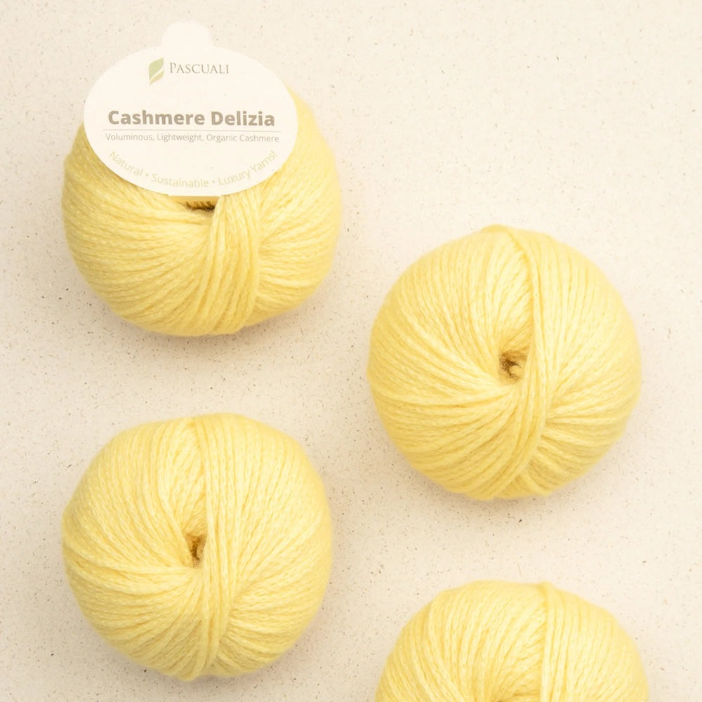 Pascuali Cashmere Delizia Farbe 76