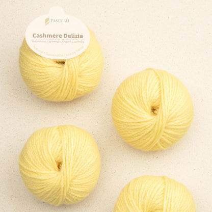 Pascuali Cashmere Delizia Farbe 76
