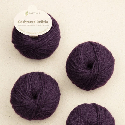 Pascuali Cashmere Delizia Farbe 78