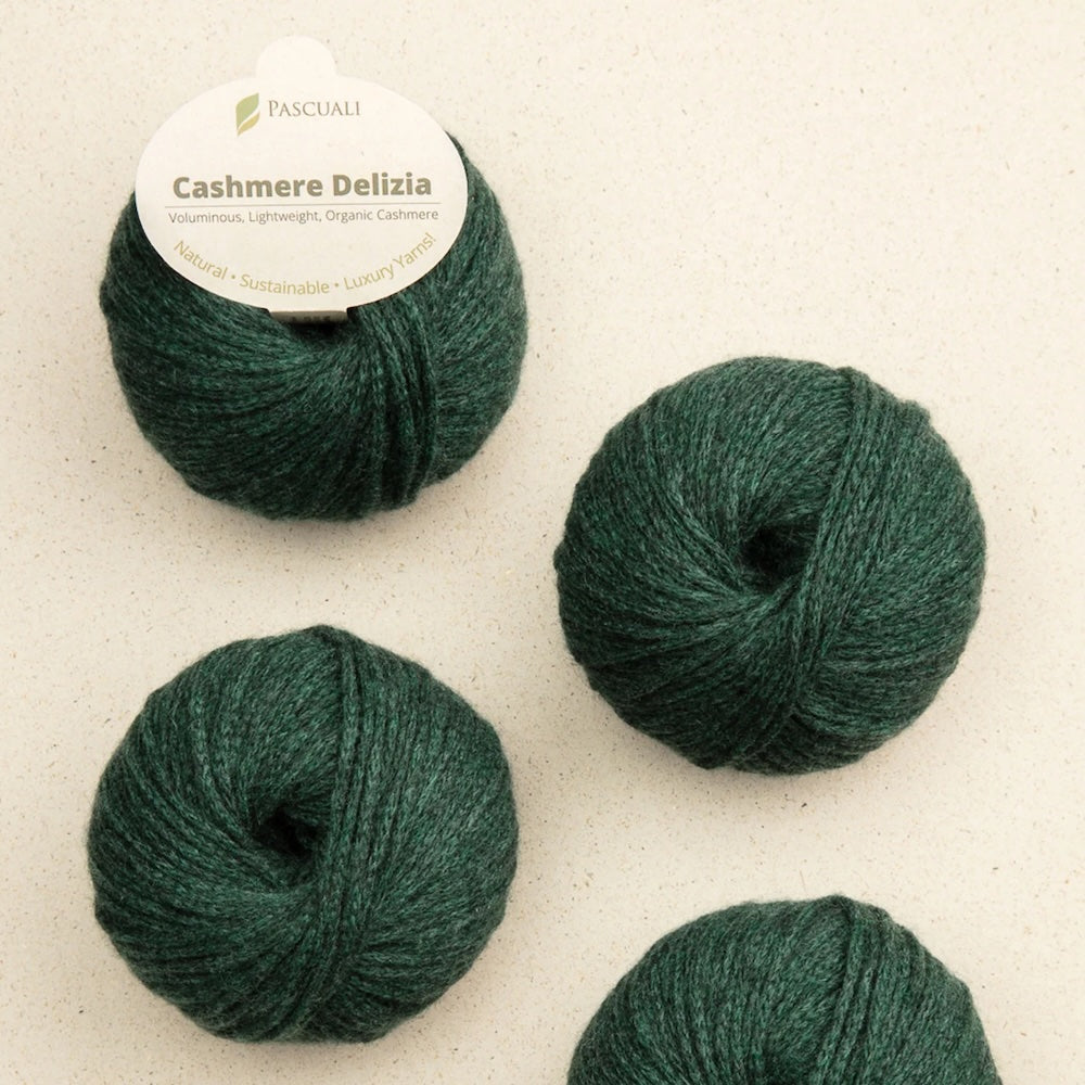 Pascuali Cashmere Delizia Farbe 86