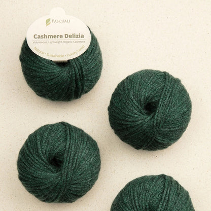 Pascuali Cashmere Delizia Farbe 86