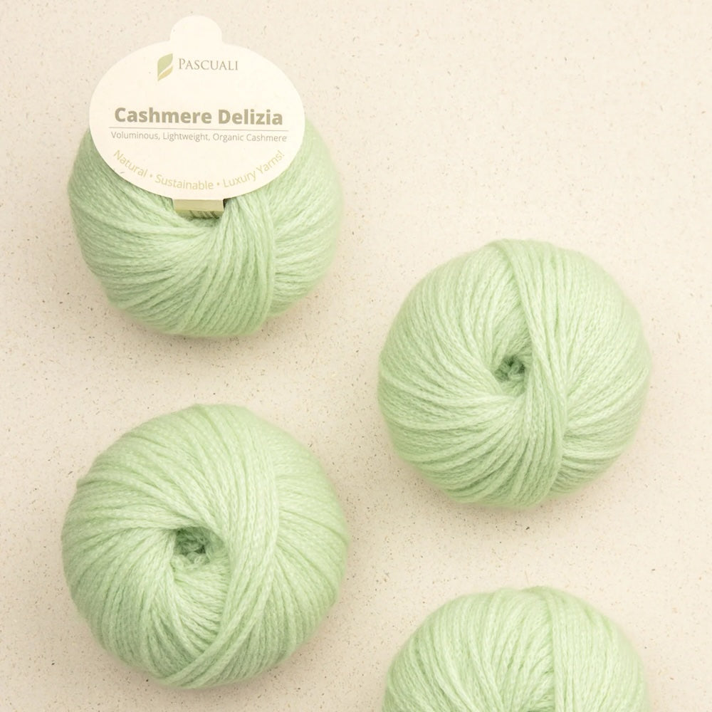 Pascuali Cashmere Delizia Farbe 88