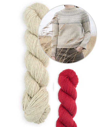 Balsam Sweater | õrn Norra muster Sheepsoft DK lõngast, autor Bramble & Fleece