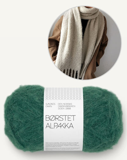 Garnpaket Berlin Scarf von Paula m mit Borstet Alpakka 18