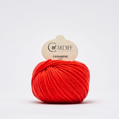 Cardiff Cashmere Large Farbe hermes 517