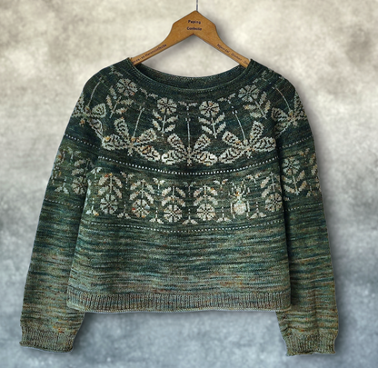 Dragonfly Sweater | feines Libellenmuster aus Pinta von Pascuali
