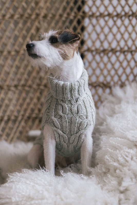 Hiljainen ilta Hundepullover | warm und robust aus Arctic Wool von Novita