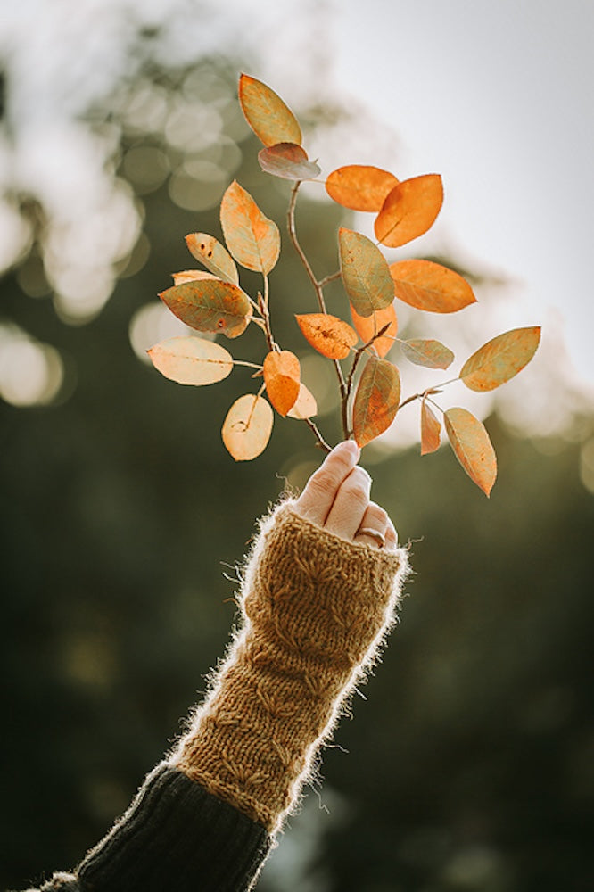 Kleinigkeitenliebe Handstulpen Wiesenblume mit Alpaca Fino von Pascuali 4