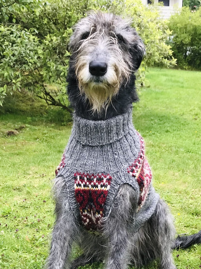 Alasuq Pullover Dog | für deinen Hund aus Alafosslopi von Lopi Island