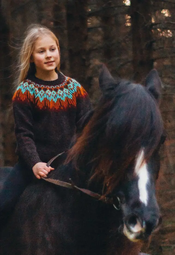 Linka Neumann Hopi Sweater Kids mit Double Sunday von Sandnes Garn 3