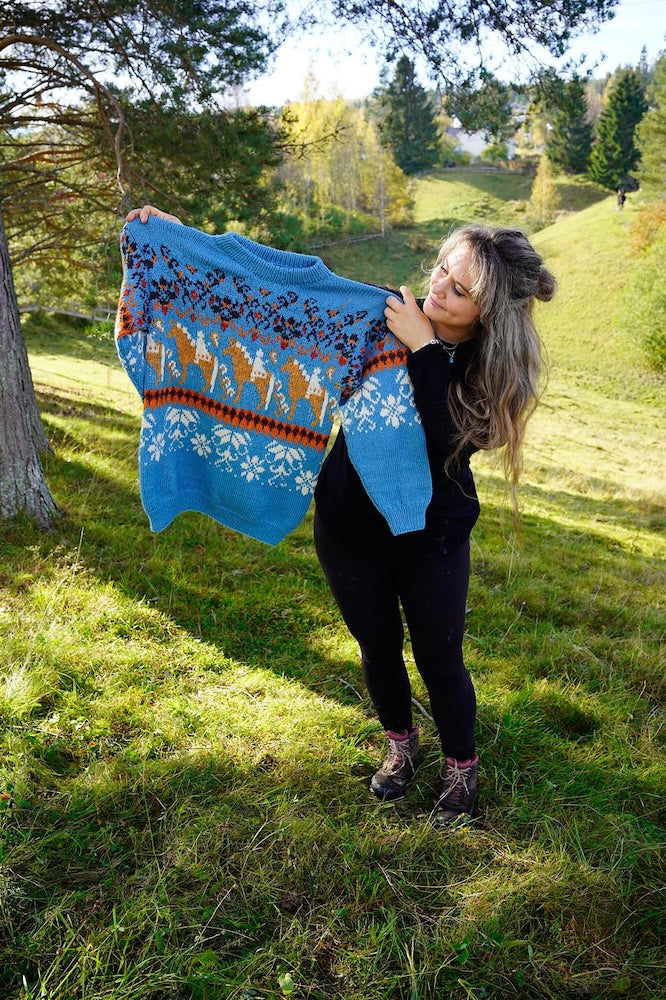 Linka Neumann Norwegian Fjordhorse Sweater mit Alpakka Ull von Sandnes Garn 5