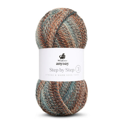 Anyday Step by Step 3 | fantastische Farben für wundervolle Socken