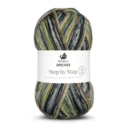 Anyday Step by Step 2 | traumschönes Sockengarn