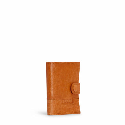 Edy Etui
