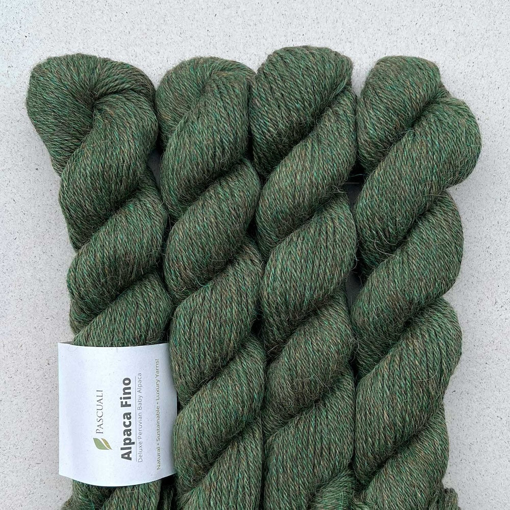 Pascuali Alpaca Fino oliv 72