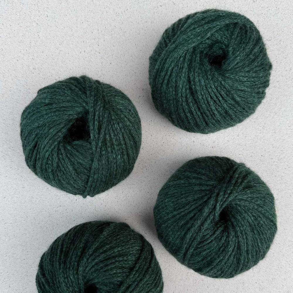 Pascuali Cashmere Delizia Farbe 86