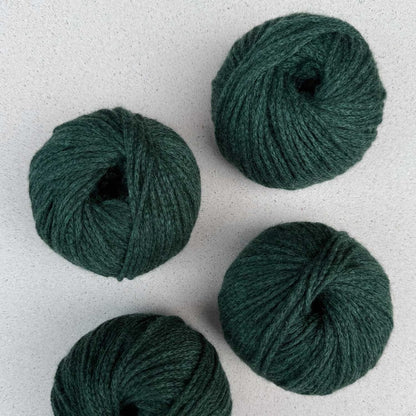 Pascuali Cashmere Delizia Farbe 86