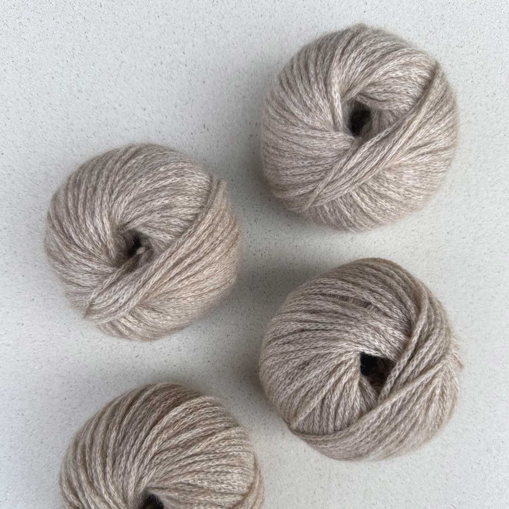 Pascuali Cashmere Delizia Farbe 56