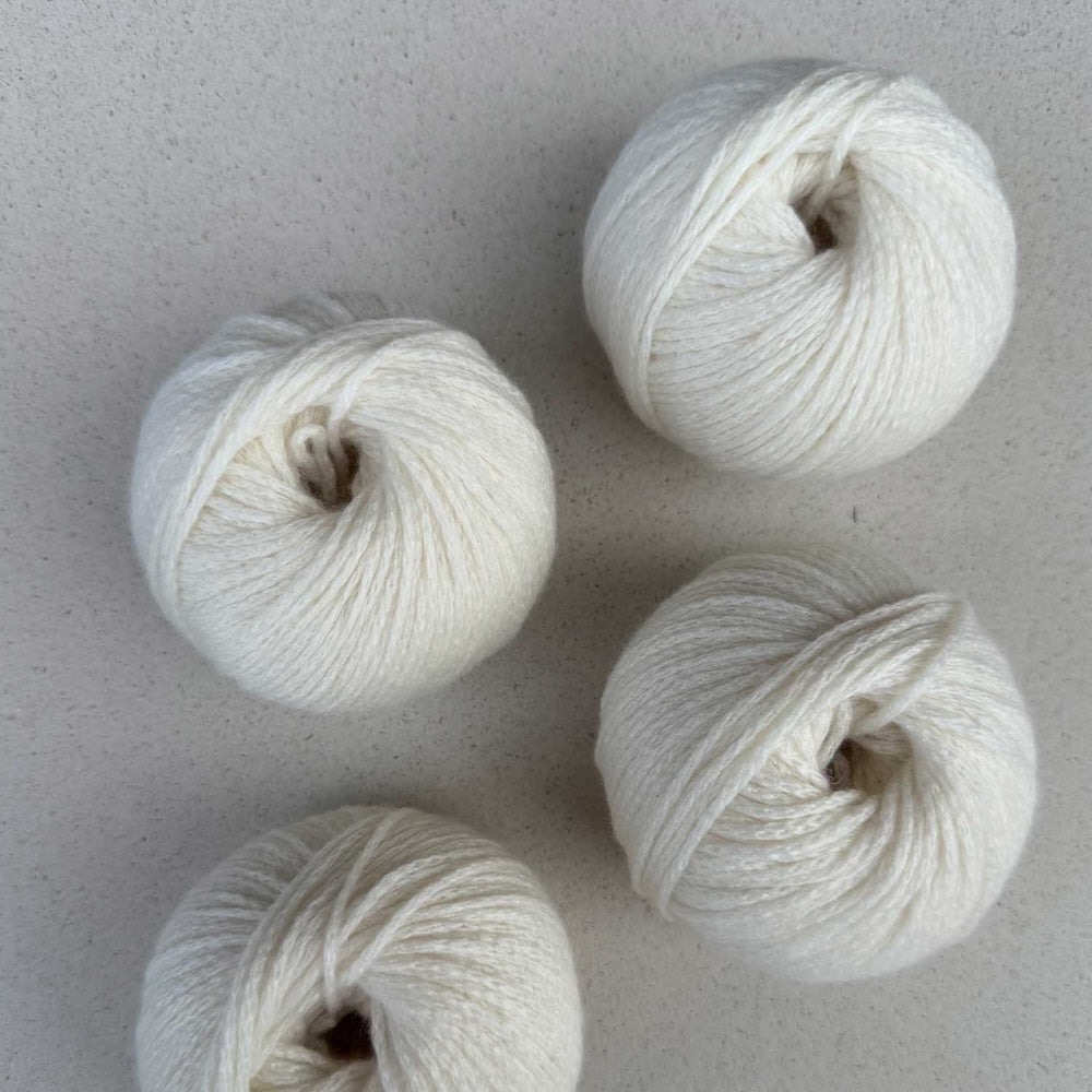 Pascuali Cashmere Delizia Farbe 54