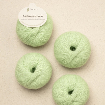 Pascuali Bio Cashmere Lace Farbe 88