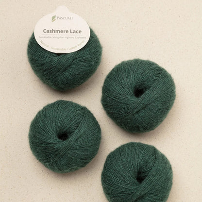 Pascuali Bio Cashmere Lace Farbe 86
