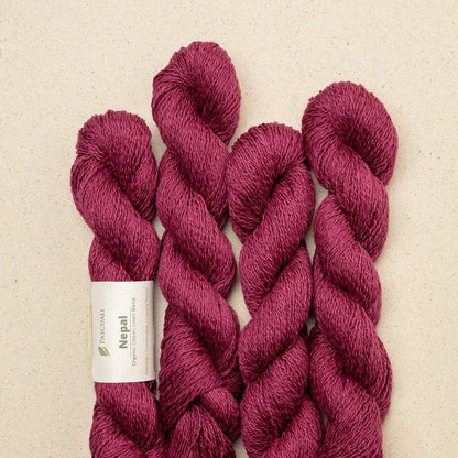 Pascuali Nepal Farbe 08