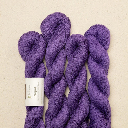 Pascuali Nepal Farbe 24