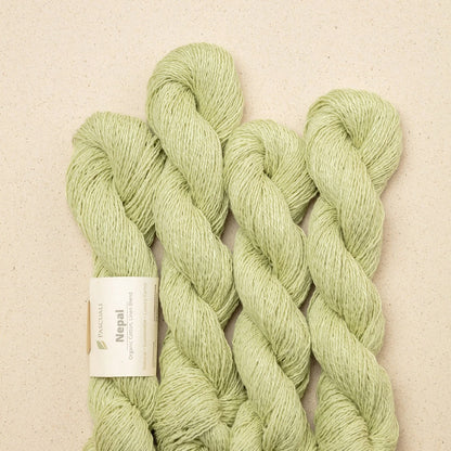 Pascuali Nepal Farbe 36