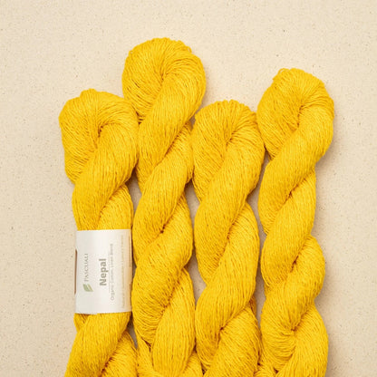 Pascuali Nepal Farbe 19