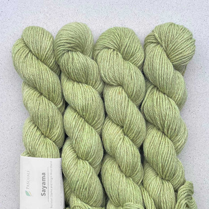 Pascuali Sayama Farbe 328