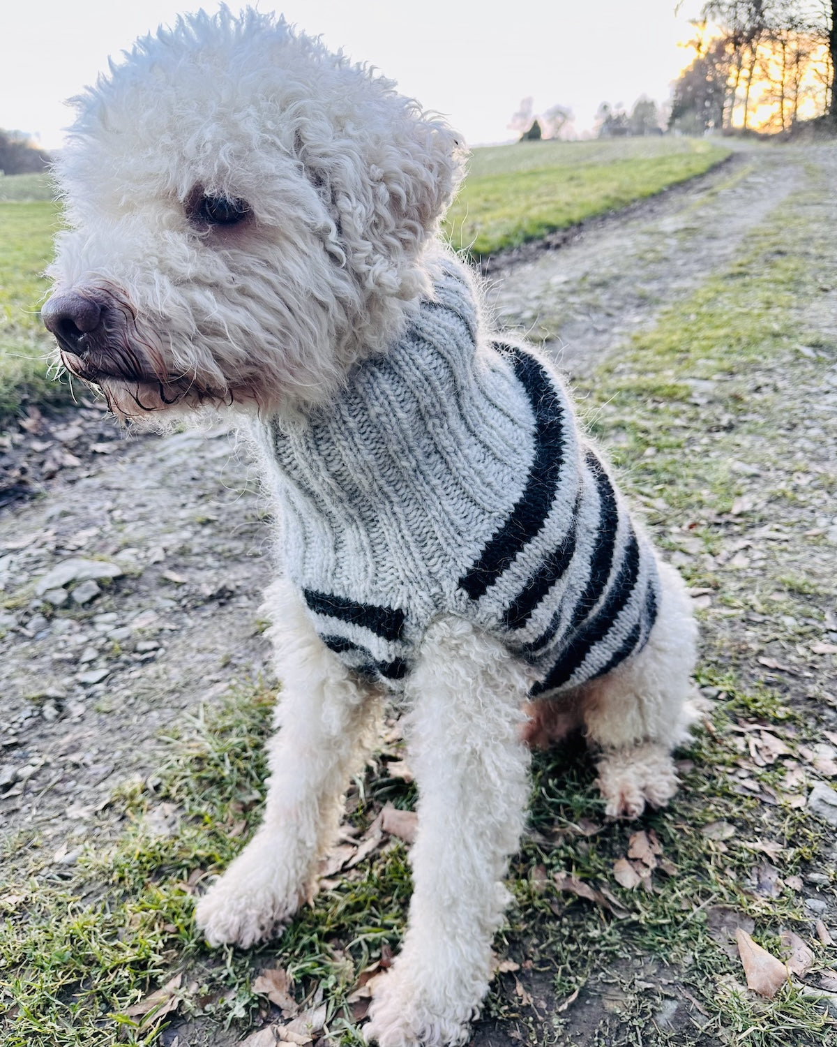Hundepullover Black Sheep (PDF) - Anleitung