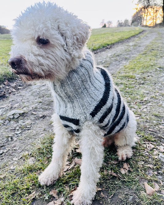 Rabea von gute-garne Hundepullover Black Sheep mit Alafosslopi von Lopi Island 1