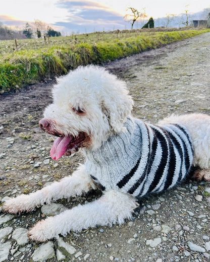 Hundepullover Black Sheep (PDF) - Anleitung
