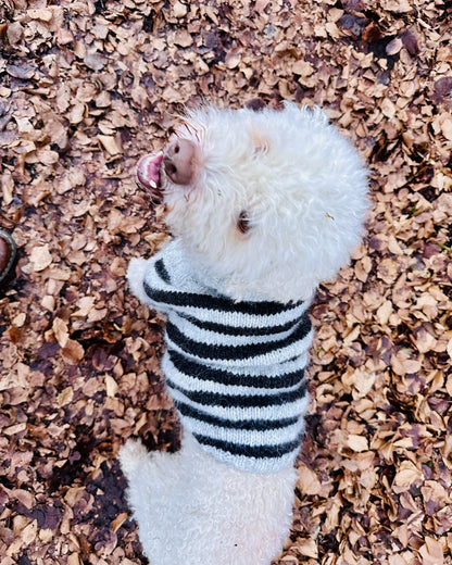 Hundepullover Black Sheep (PDF) - Anleitung