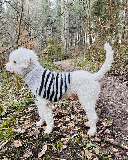 Hundepullover Black Sheep (PDF) - Anleitung