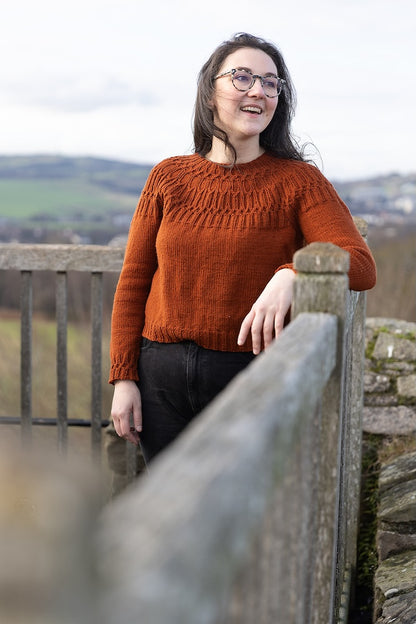 Ariundle Sweater | zartes Zopfmuster aus Fleece Bluefaced DK von West Yorkshire Spinners