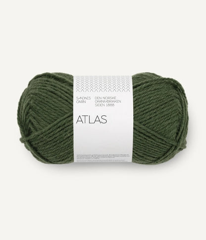 Sandnes Garn Atlas Farbe 8571