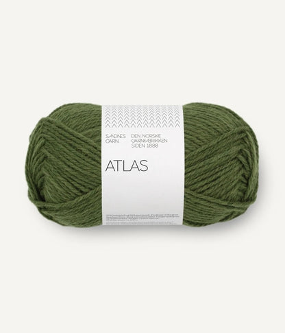Sandnes Garn Atlas Farbe 9072