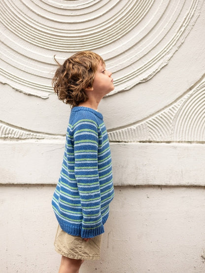 Collin Sweater Junior 