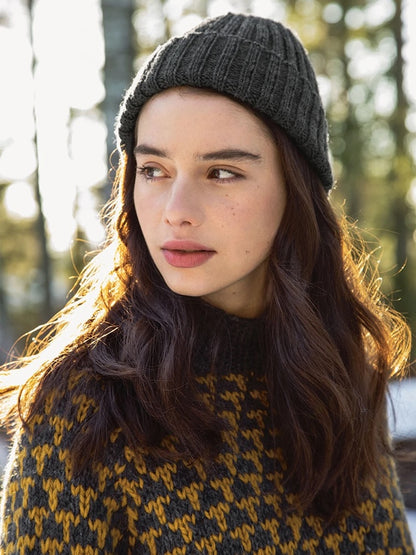 Mogen Sweater | grafisches Muster aus Fritidsgarn von Sandnes Garn